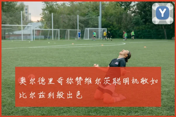 奥尔德里奇称赞维尔茨聪明机敏如比尔兹利般出色