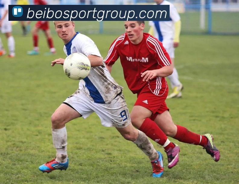 贝博足球全站App